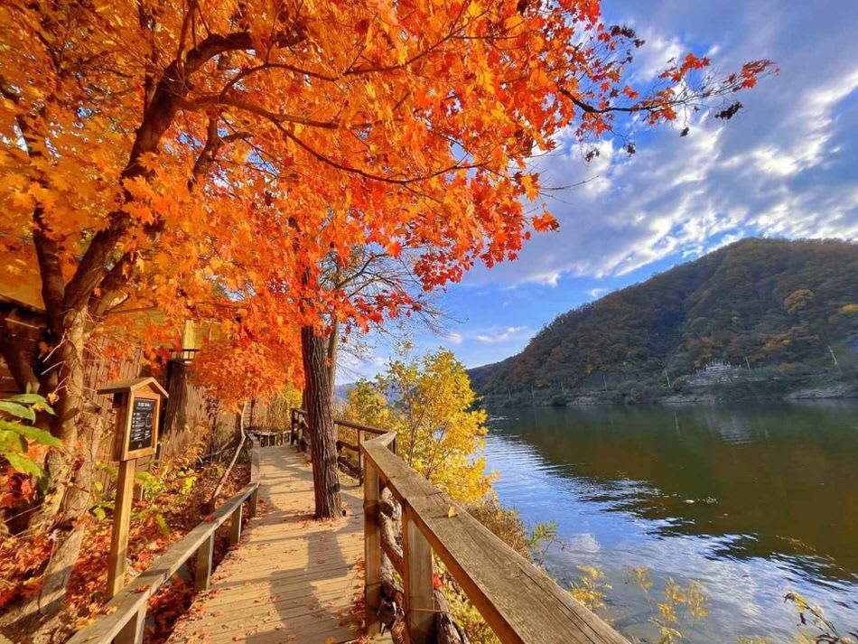 اشهر الاماكن السياحية في كوريا الجنوبية