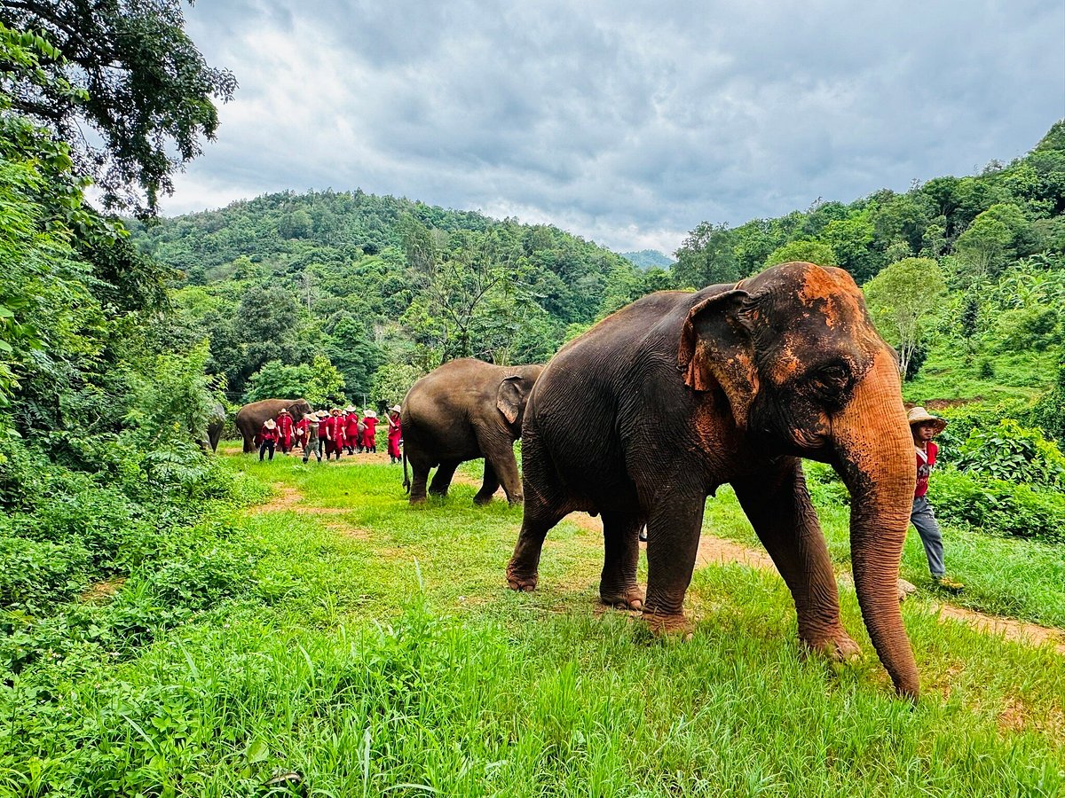 تكلفة السياحة في تايلاند